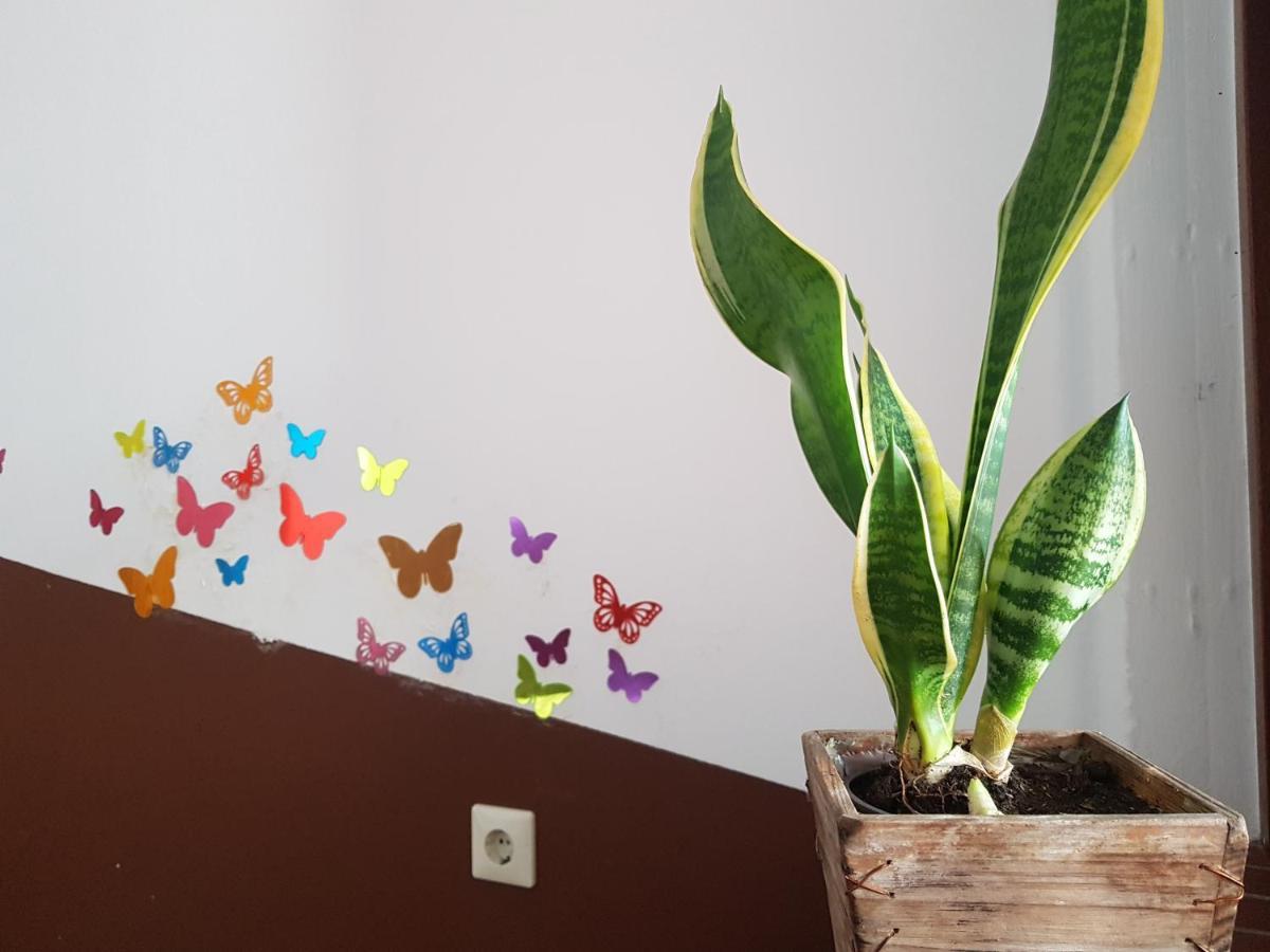 Penthouse Backpackers Hostel Osnabrueck Luaran gambar